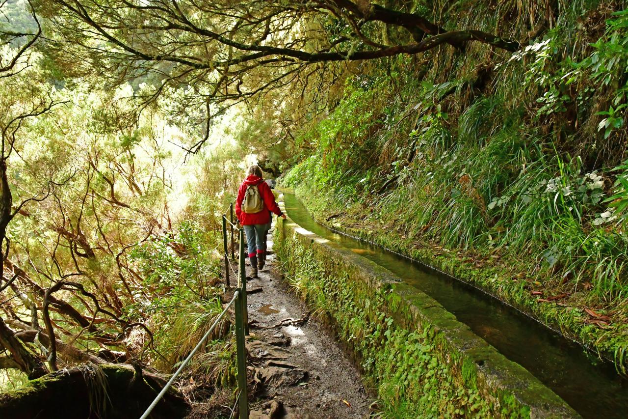 En kvinne går langs en levada på Madeira, med mye grønt rundt.